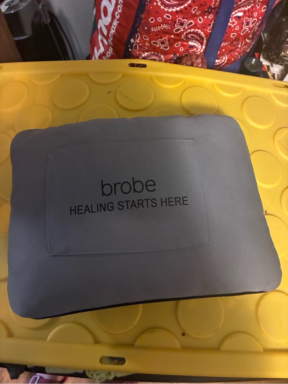 brobe Gray Healing Starts Here Pillow